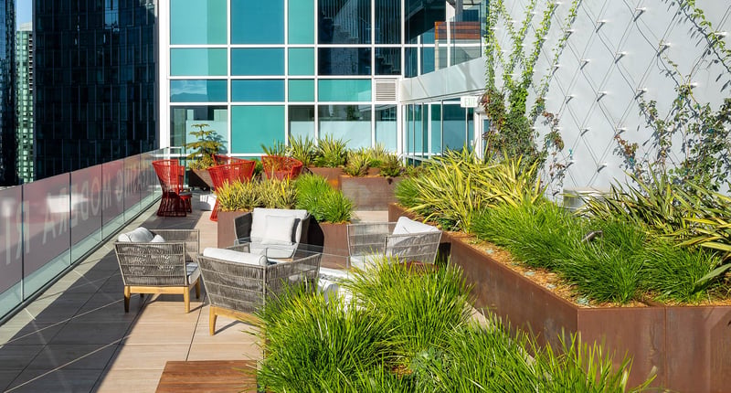 Modera Rincon Hill preview 4